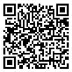 �Ϲ�NG��28(����)����Ʒ��ʵ�����޹�˾